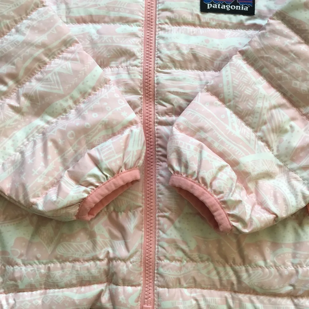 Patagonia Puffer Jacket (size 12-18m)
